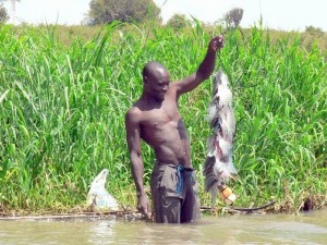 A fisherman in Lake Victoria, Kismu, Kenya. Photo courtesy of www.city.1-themes.com