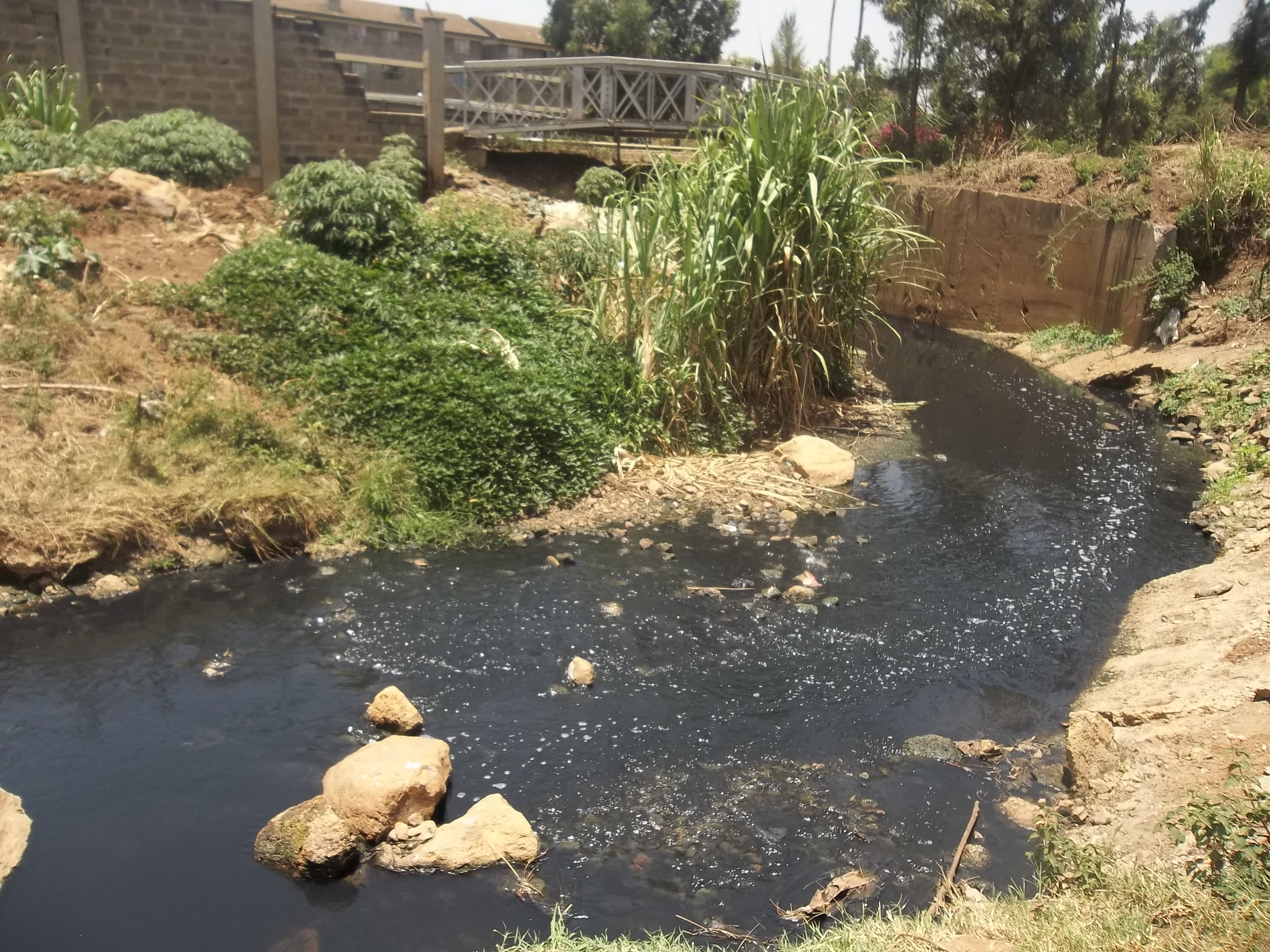 A section of Nairobi River. Bamboo can be used to rehabilitate this and others polluted rivers in the country. [Photo: tunza.eco-generation.org]