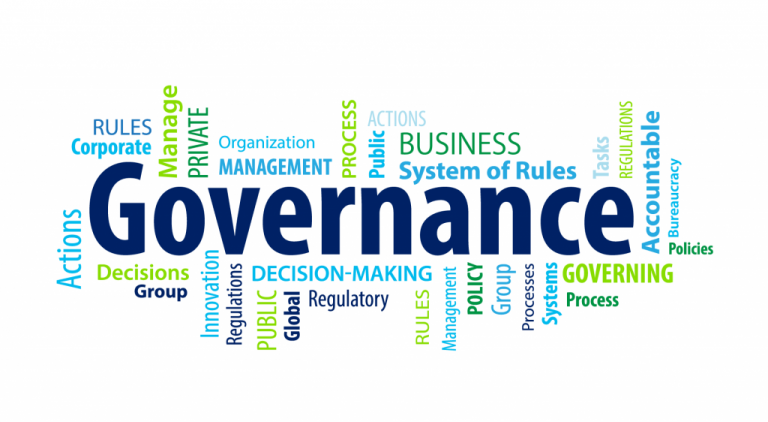 governance promotion in the digital age