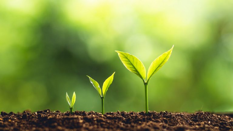 Art Attack? A journey towards mental, emotional and spiritual growth